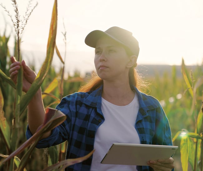 agricultural financing