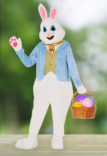 person wearing Easter bunny costume holding basket