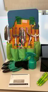 Raintree picnic theme