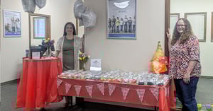 Rushville picnic theme