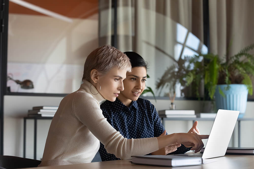 Mentor/Mentee Discussing Career Pathing